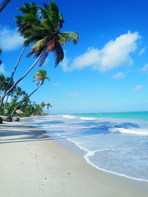 Apartamento Praia Dos Carneiros Tamandaré Buitenkant foto